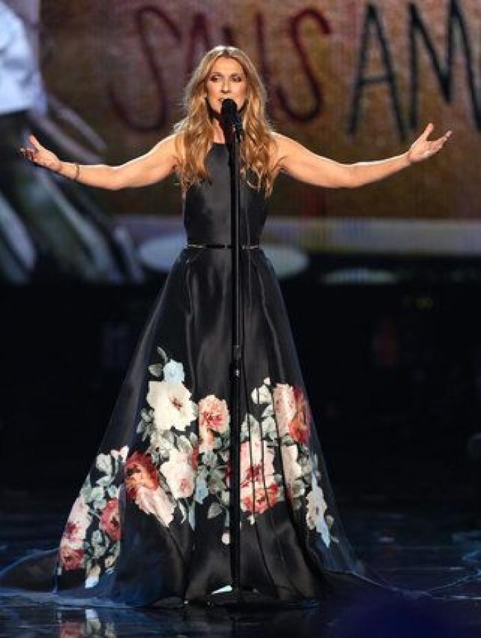 El homenaje de Celine Dion a las víctimas de los atentados de París en los American Music Awards