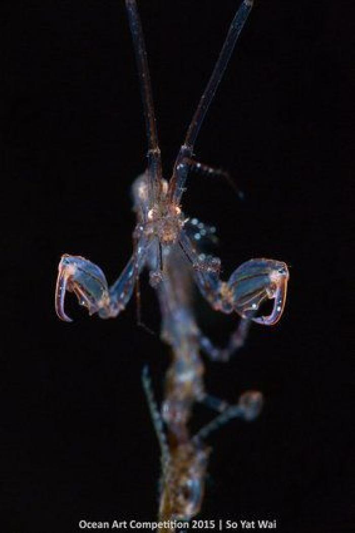 La caótica belleza del océano capturada en estas 15 impresionantes fotografías