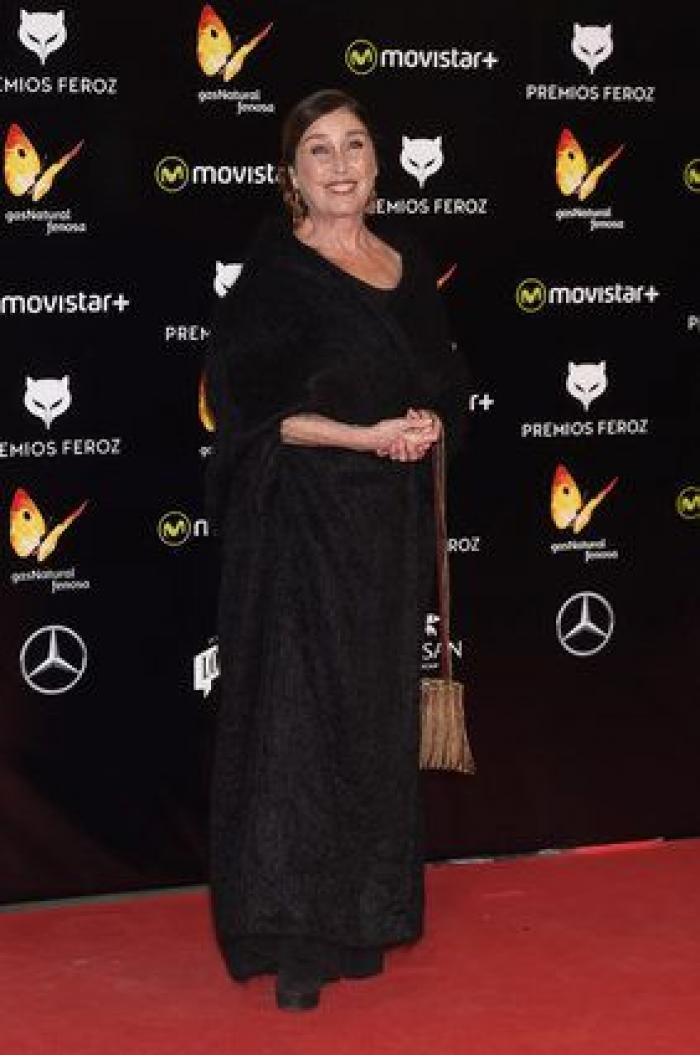 Premios Feroz 2016: 'La novia' triunfa con seis galardones