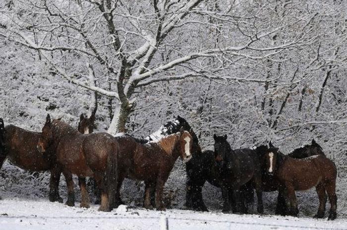 Llegó la nieve (FOTOS)