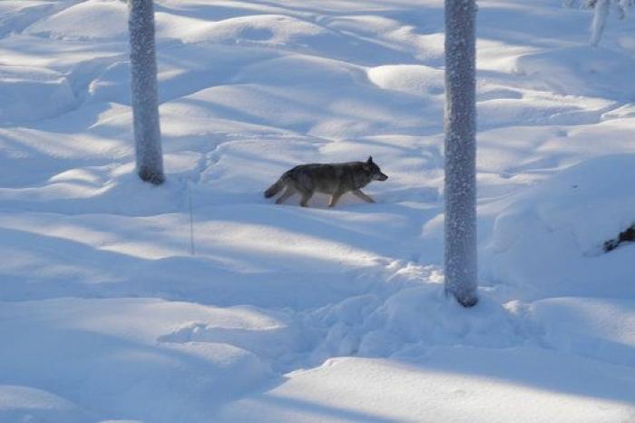 ¡Ocho planes bajo cero!