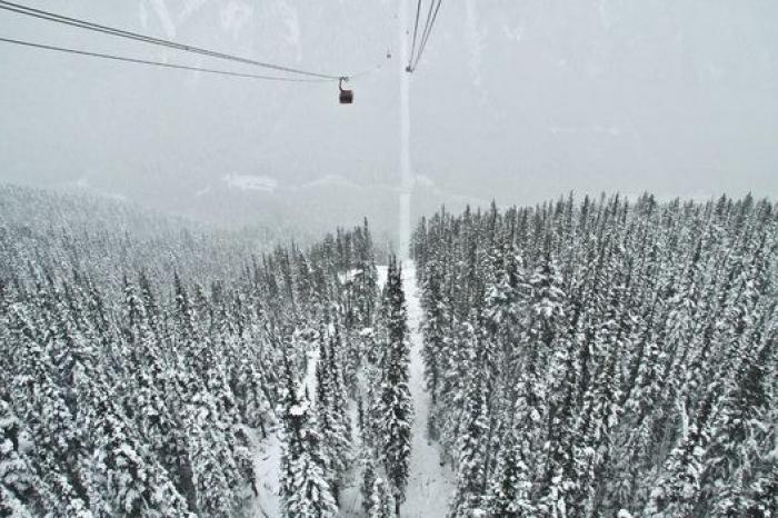 ¡Ocho planes bajo cero!