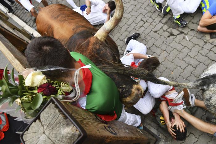 El alegato de Pamela Anderson contra las corridas de toros