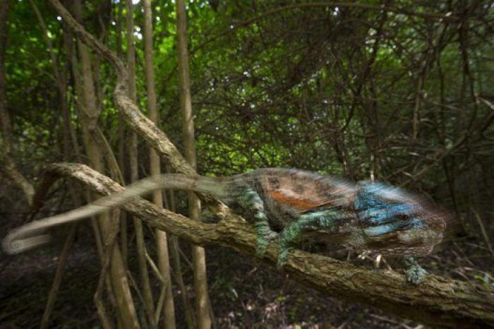 Warren Richardson gana el World Press Photo 2016 por una imagen de los refugiados