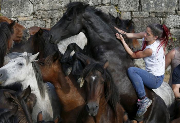 Las impresionantes imágenes de la Rapa das Bestas