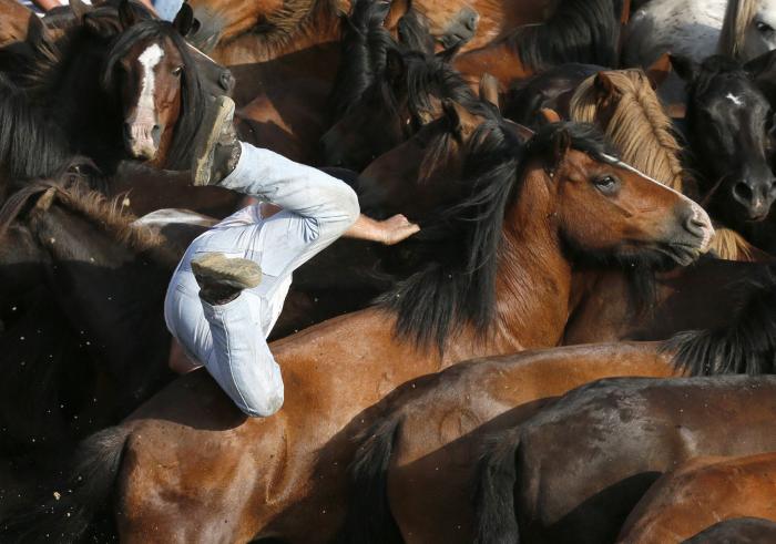 Las impresionantes imágenes de la Rapa das Bestas