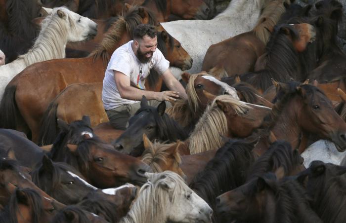 Las impresionantes imágenes de la Rapa das Bestas