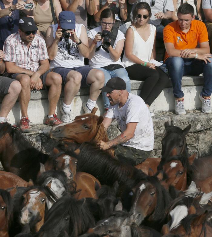 Las impresionantes imágenes de la Rapa das Bestas