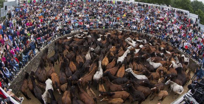 Las impresionantes imágenes de la Rapa das Bestas