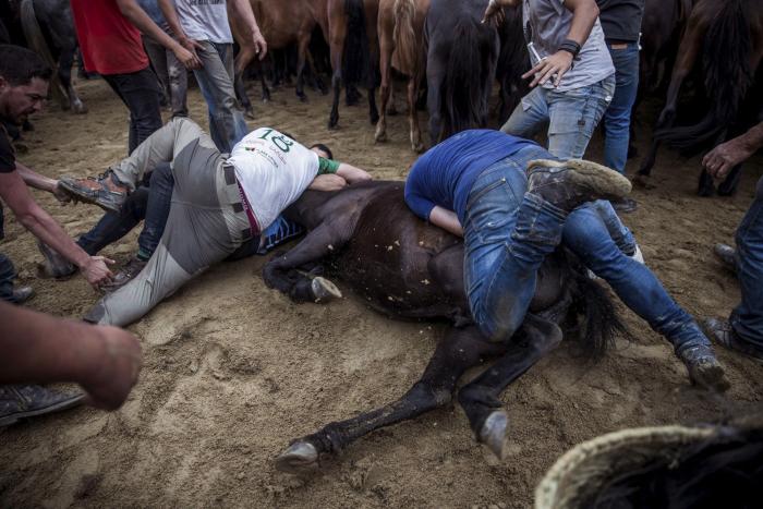 Las impresionantes imágenes de la Rapa das Bestas