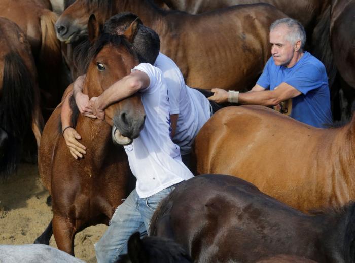 Las impresionantes imágenes de la Rapa das Bestas