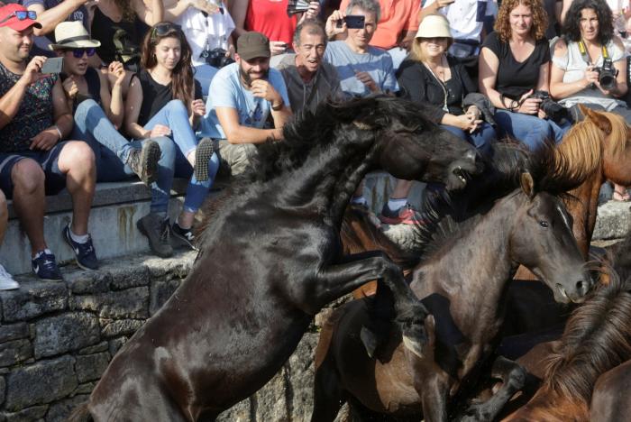 Las impresionantes imágenes de la Rapa das Bestas