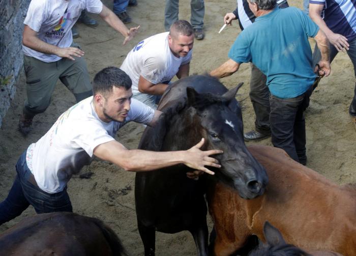 Las impresionantes imágenes de la Rapa das Bestas