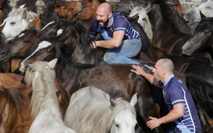 Las impresionantes imágenes de la Rapa das Bestas