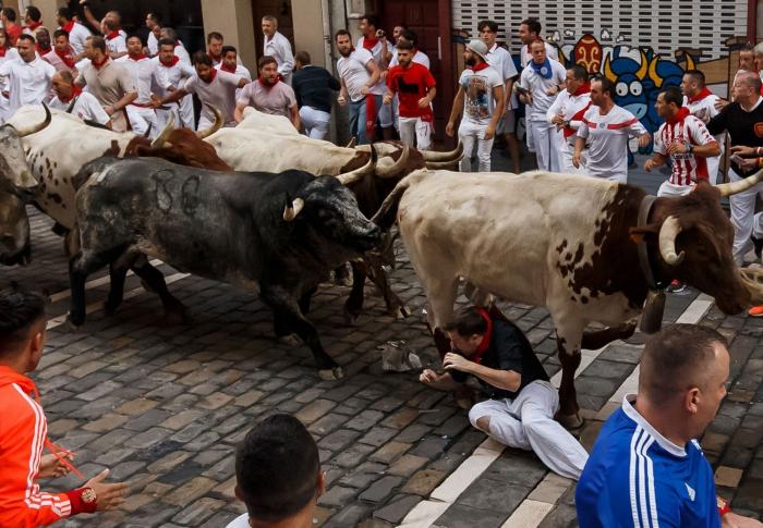 ¿Estás a favor de los encierros de San Fermín?