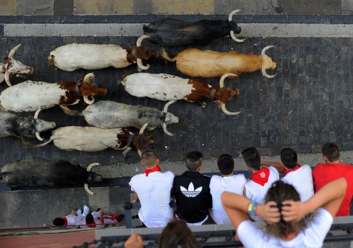 ¿Estás a favor de los encierros de San Fermín?