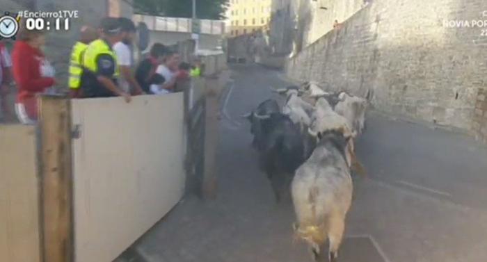 ¿Estás a favor de los encierros de San Fermín?