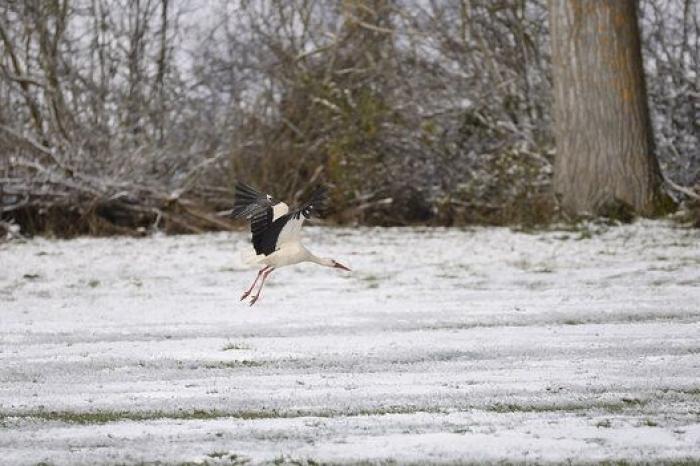 Casi todo el país en alerta a causa del temporal este domingo