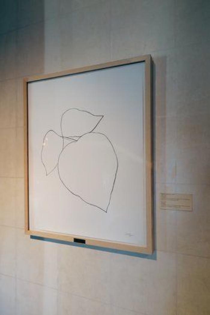 Cotillea los cuadros que esconde la Embajada de Estados Unidos en Madrid (FOTOS)