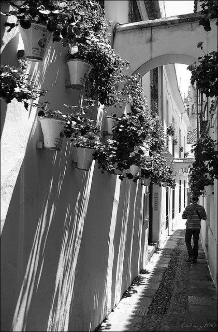 Un periodista vasco triunfa al corregir un titular sobre los pasos de peatones en diagonal de Madrid