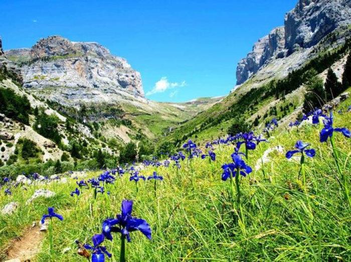 Ocho rincones de Europa para disfrutar al 100% de la primavera