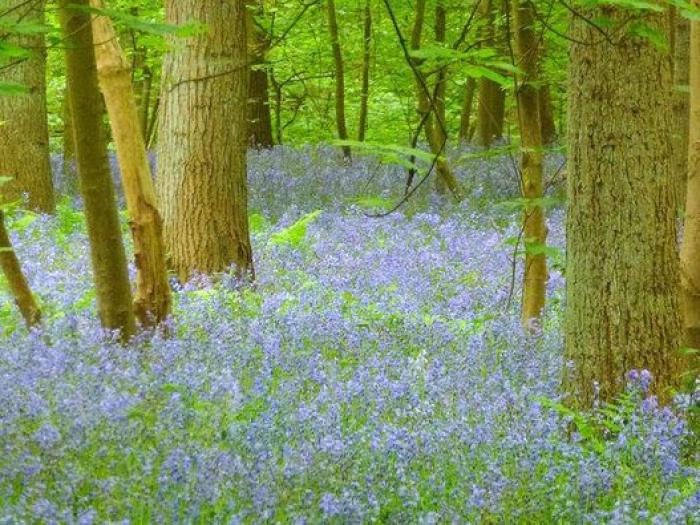 Ocho rincones de Europa para disfrutar al 100% de la primavera