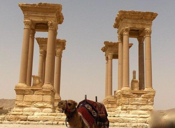 El Ejército sirio irrumpe en Palmira en medio de una ofensiva contra el Daesh