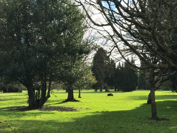 Siete cosas que hacer en Cardiff (además de ver la final de la Champions)