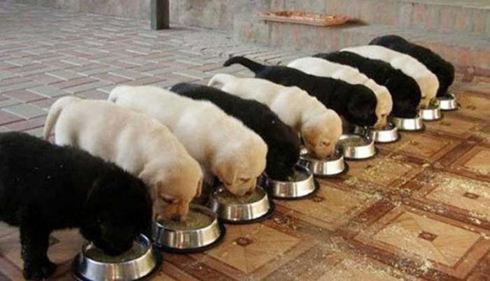 20 fotos que causarán un malestar inmediato a los perfeccionistas