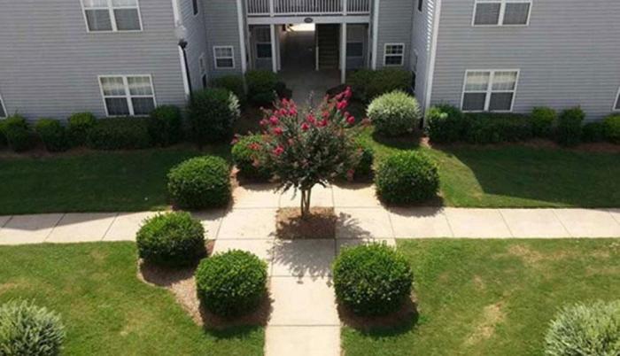 20 fotos que causarán un malestar inmediato a los perfeccionistas