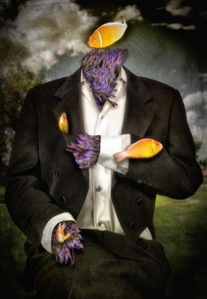 ¡Pa-ta-ta! La foto de esta foca sonriente bien vale un premio de fotografía