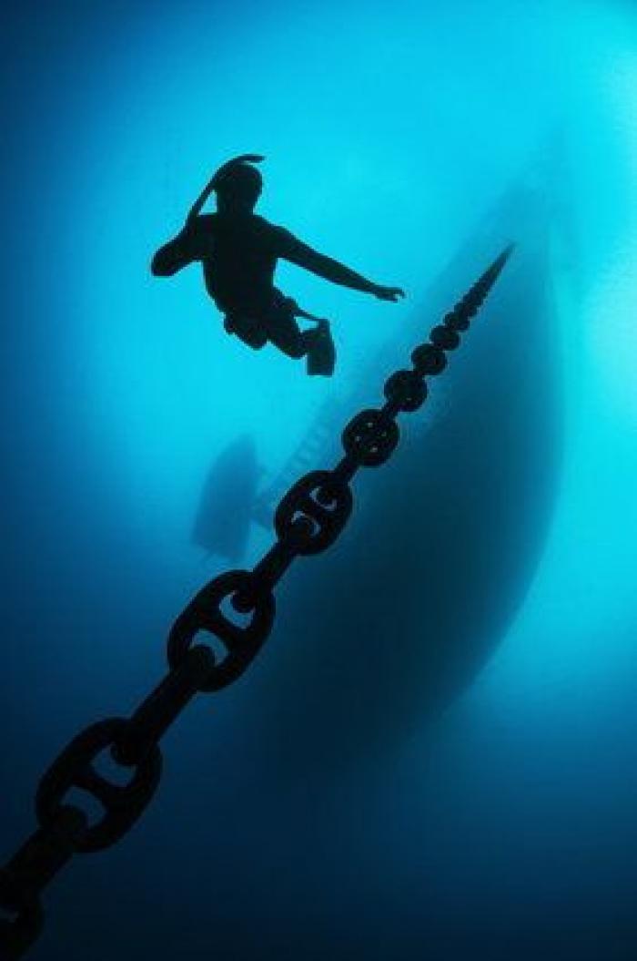 ¡Pa-ta-ta! La foto de esta foca sonriente bien vale un premio de fotografía