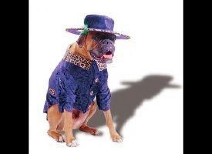 El paseo del perro y el anciano que emociona a internet