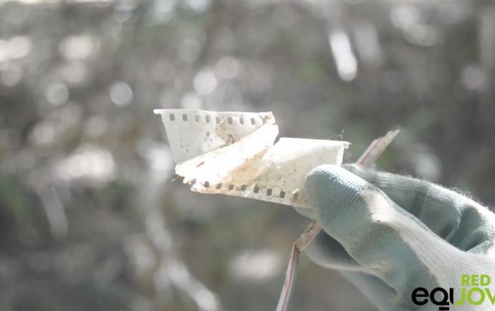 Los jóvenes de Equo fueron a limpiar el río en Madrid y lo que se encontraron fue dramático