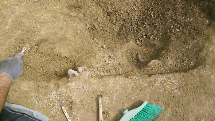 Aranga, el ejemplo de cómo se abren las fosas del franquismo sin ayudas y a puro tesón