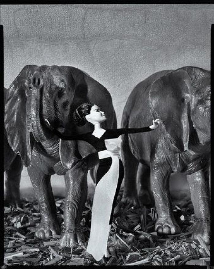 Todas las imágenes ganadoras de los Sony World Photography Awards 2016