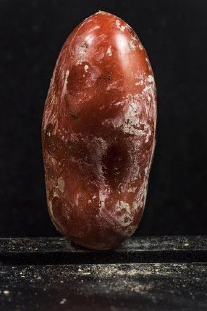 Todas las imágenes ganadoras de los Sony World Photography Awards 2016