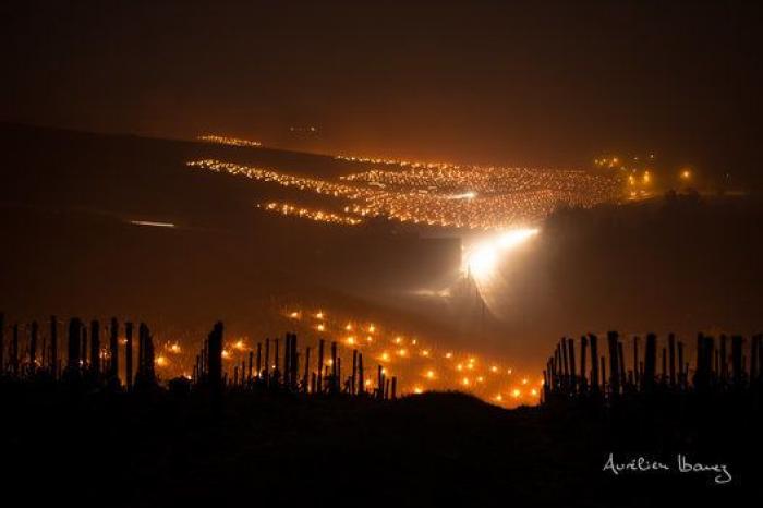 Esta viña francesa se ha calentado con miles de velas para combatir el frío