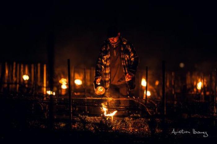 Esta viña francesa se ha calentado con miles de velas para combatir el frío
