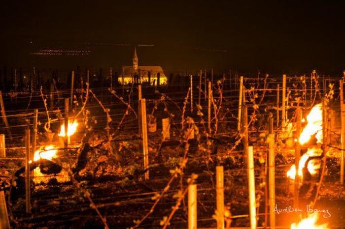 Esta viña francesa se ha calentado con miles de velas para combatir el frío