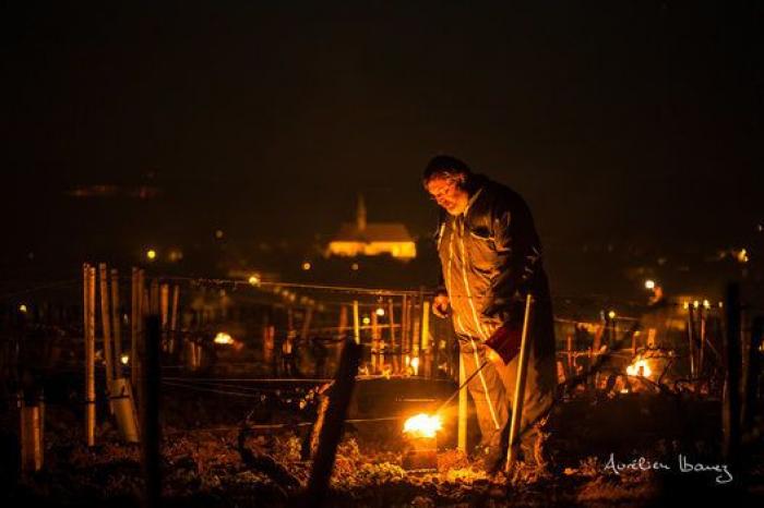 Esta viña francesa se ha calentado con miles de velas para combatir el frío