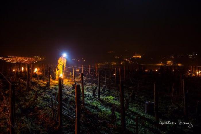 Esta viña francesa se ha calentado con miles de velas para combatir el frío