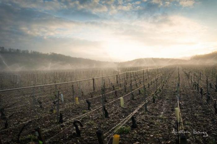 Esta viña francesa se ha calentado con miles de velas para combatir el frío