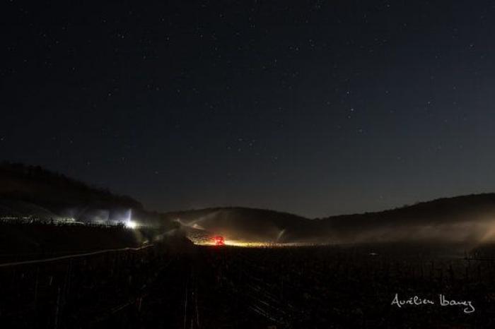 Esta viña francesa se ha calentado con miles de velas para combatir el frío