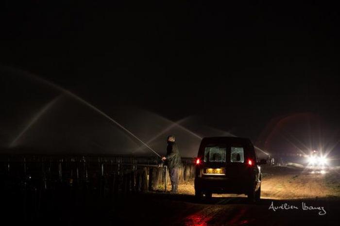 Esta viña francesa se ha calentado con miles de velas para combatir el frío