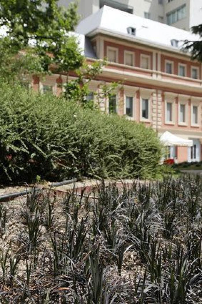 El Jardín Florido del Museo Lázaro-Galdiano: un viaje en el tiempo sin salir del centro de Madrid