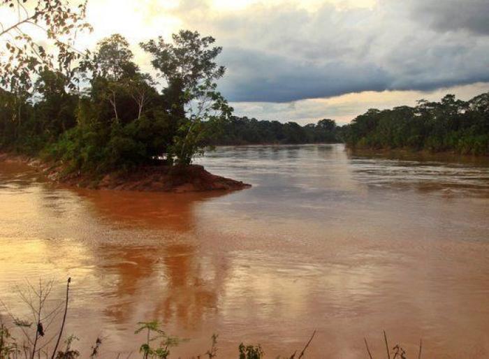 Visita a Tarzán: recorrido por las selvas más espectaculares y desconocidas del mundo