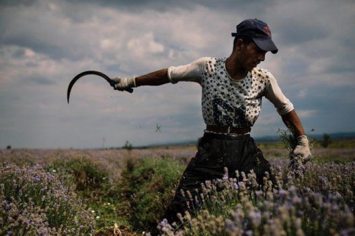 Bengalas en Yemen, inundaciones en Filipinas y otras fotos del 8 de julio