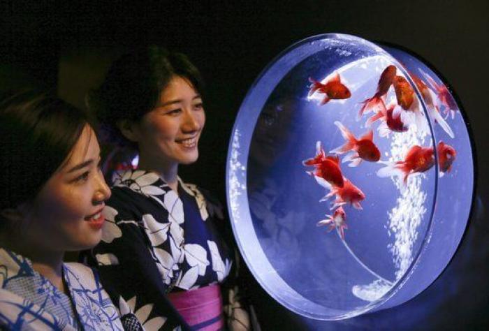 El sueño de un niño durante el final del Ramadán y otras fotos del día