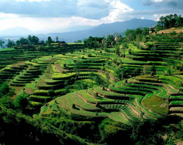 Barcelona ocupa el séptimo puesto entre los 25 mejores destinos del mundo